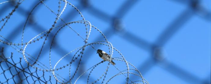 A bird sitting on top of a barbed wire fence.