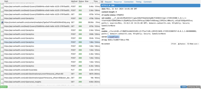 Scereen shot of Flo data in DIE - entry reading server:cloudflare is highlighted