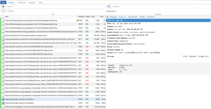 Screenshot of an entry in the DIE, it is information about a tracking pixel from Google Analytics